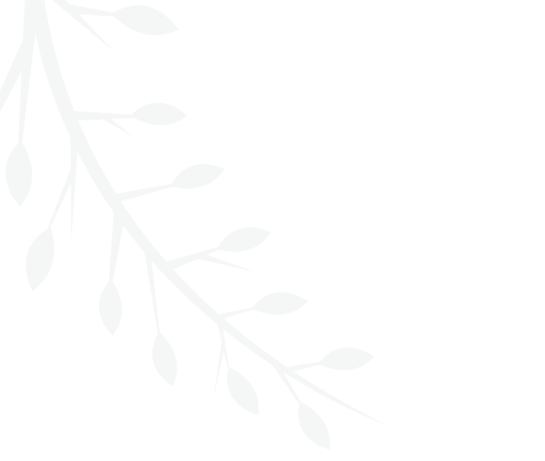 Minimal leaf background graphic for branding