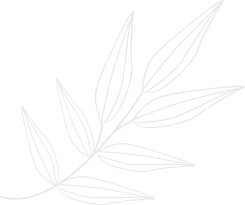 Leaf illustration representing natural weed solutions
