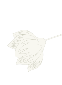 Leaf illustration representing natural weed solutions